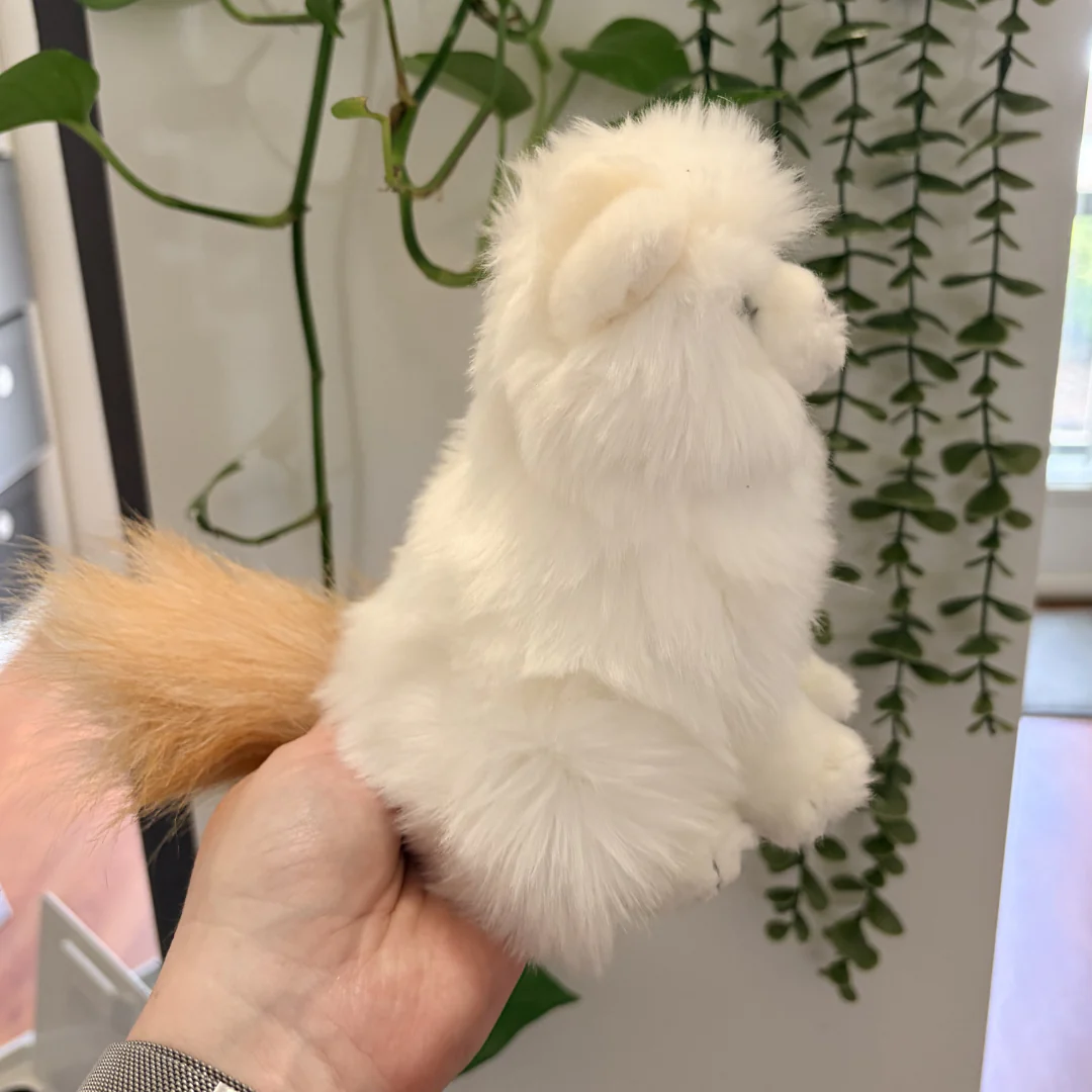 Ragdoll Kitten | Living Nature | Plushie - Image 3