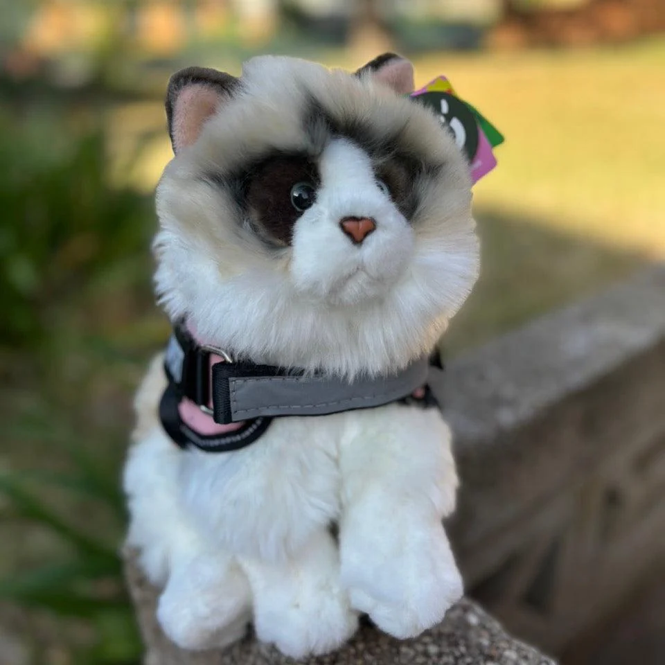 Ragdoll Plush Cat | Living Nature | Plushie - Image 3