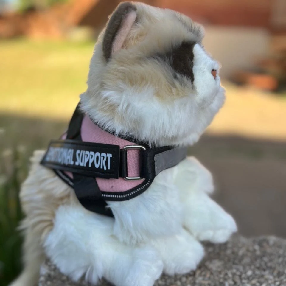Ragdoll Plush Cat | Living Nature | Plushie - Image 4