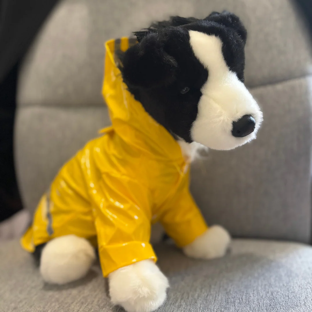 Raincoat | ESSA Clothes - Image 3