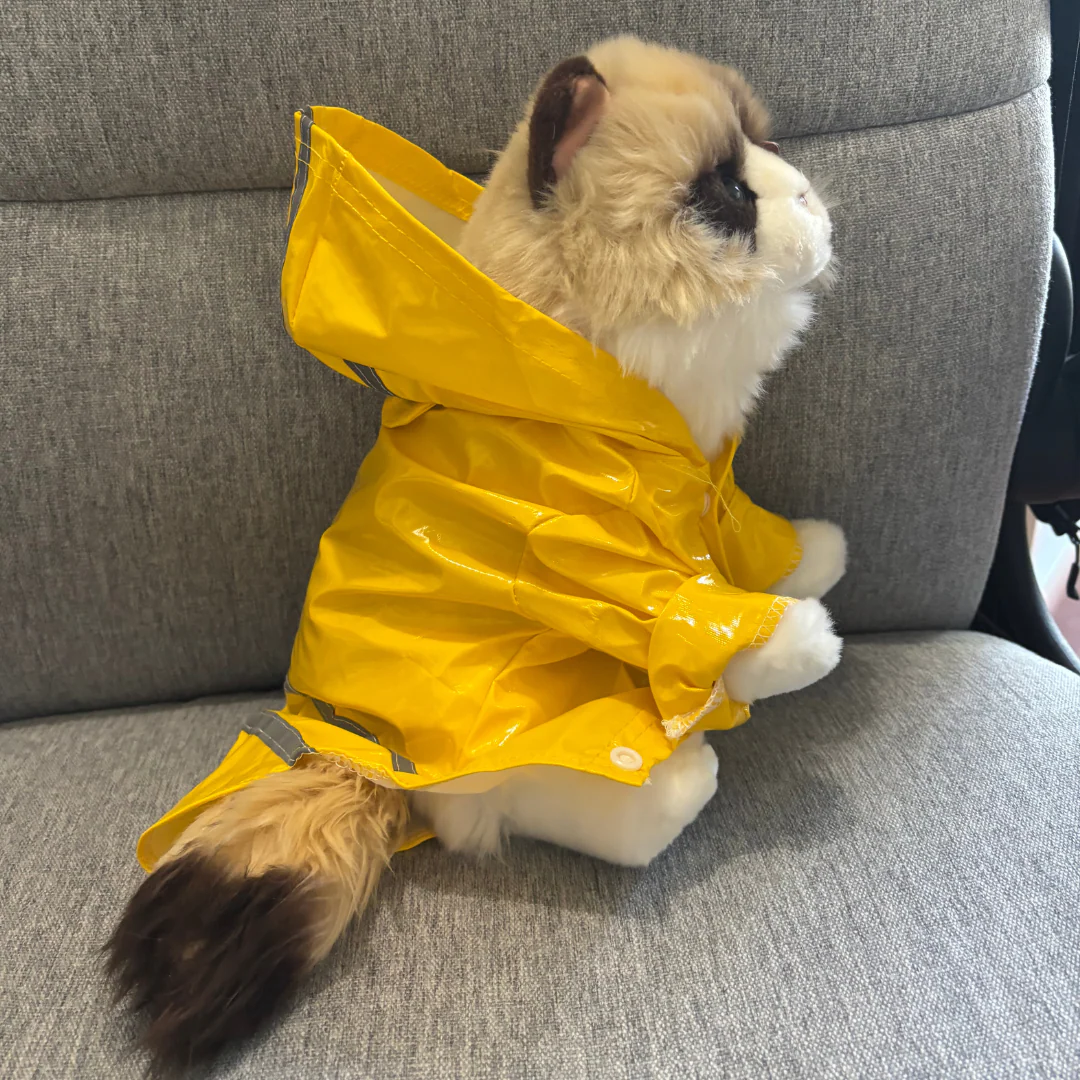 Raincoat | ESSA Clothes - Image 4