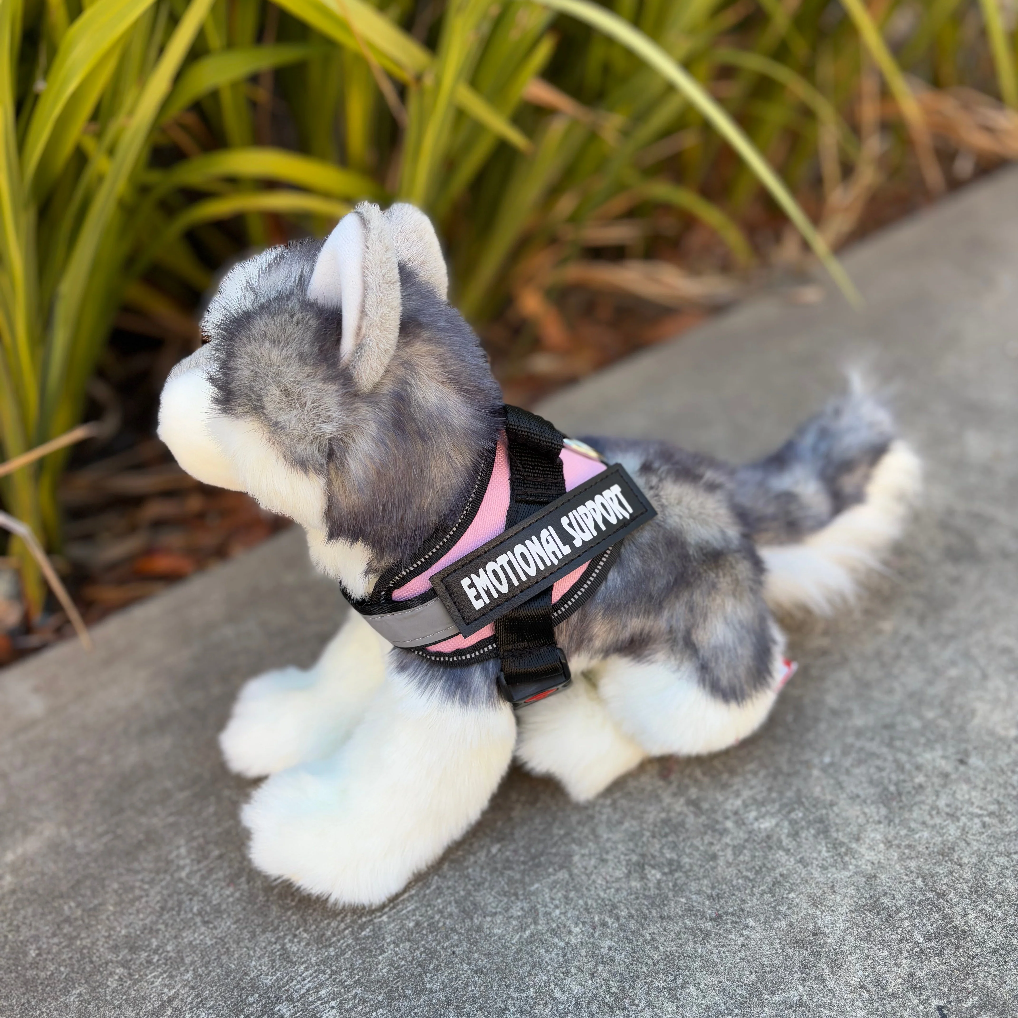 Sasha Husky | Douglas Dog | 16" - Image 6