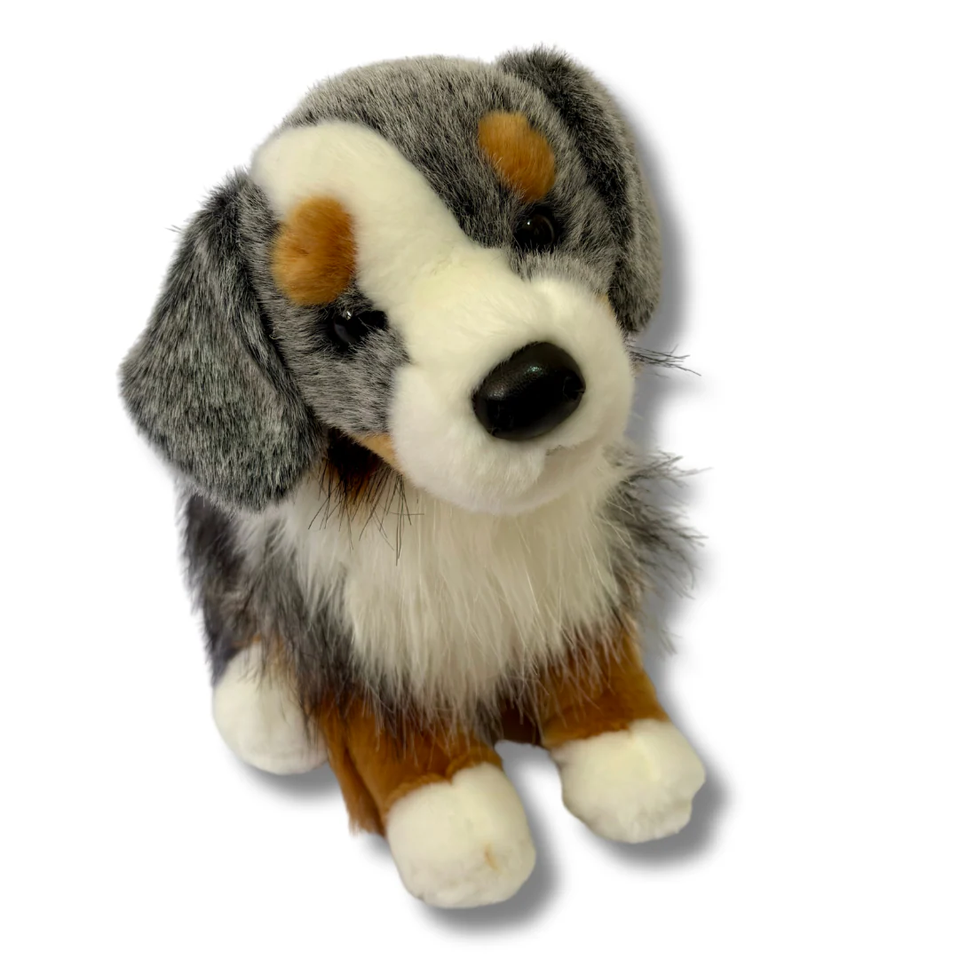 Sinclair Australian Shepherd | Douglas Dog | 16" - Image 2