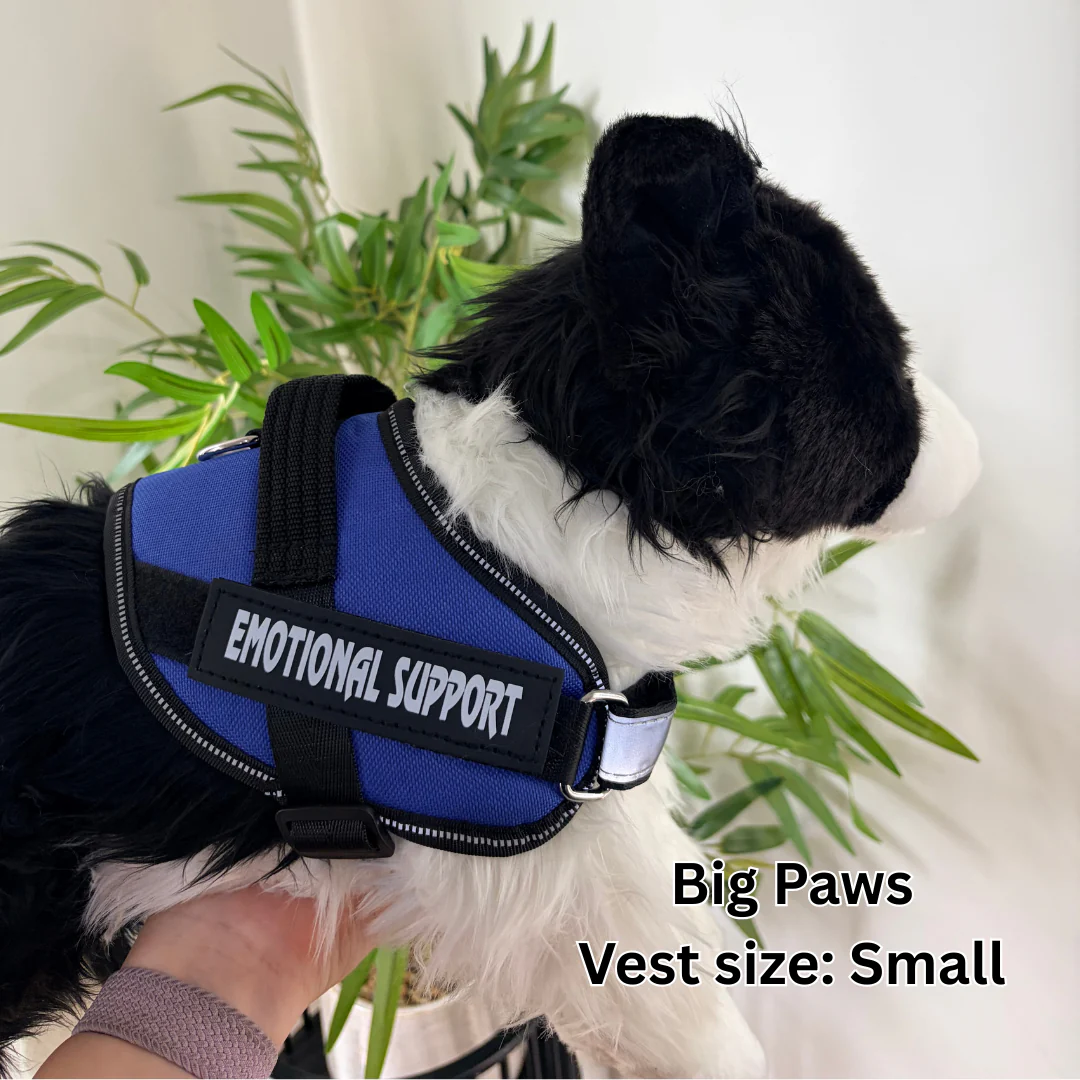 Small Emotional Support Vest | Assorted Colours | ESSA Gear - Image 3