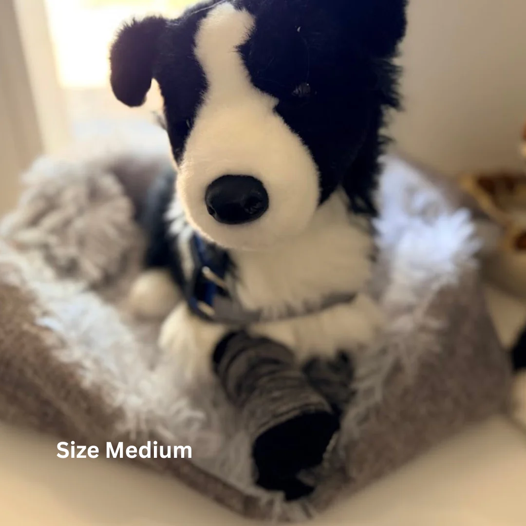 Dog Socks | ESSA - Image 6