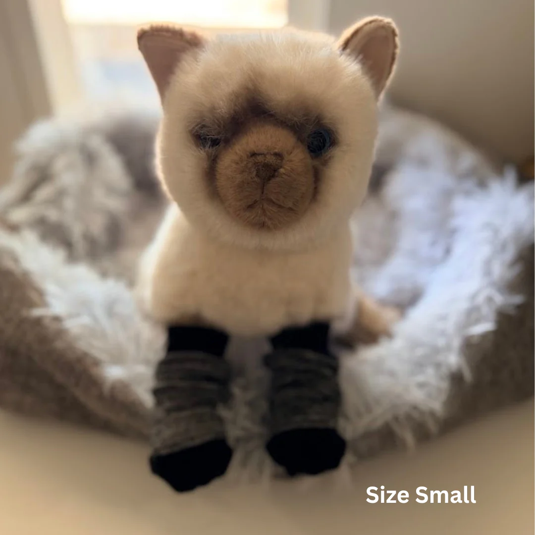 Dog Socks | ESSA - Image 7