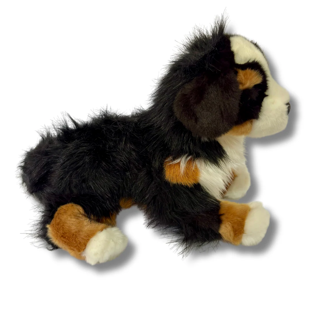 Trevor Bernese Mountain Dog | Douglas Dog | 16" - Image 3