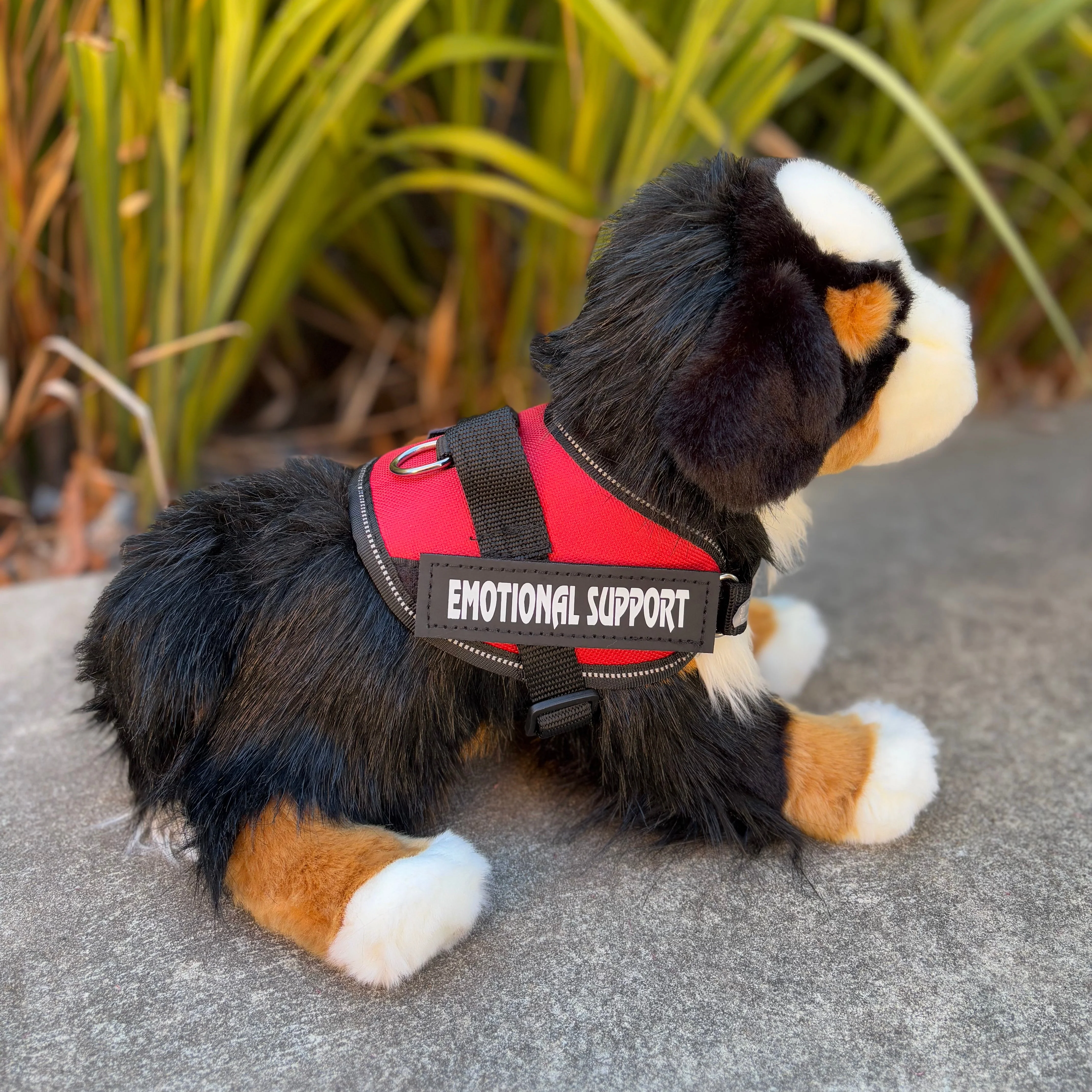 Trevor Bernese Mountain Dog | Douglas Dog | 16" - Image 5