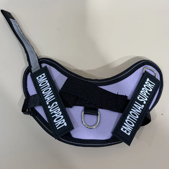 XS Emotional Support Vest | Assorted Colours | ESSA - Image 23